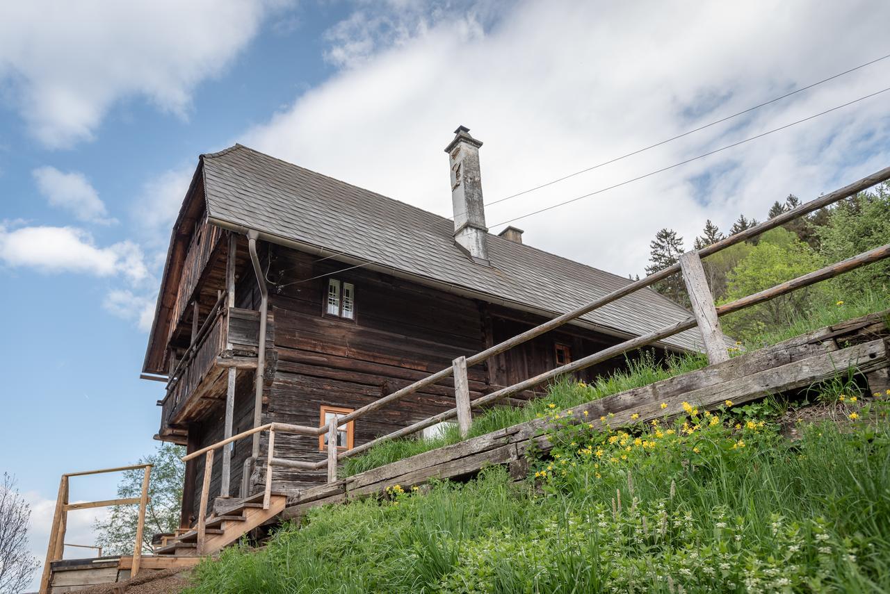 Urlaub Auf Der Alm "Deluxe" Villa Preggraben Kültér fotó