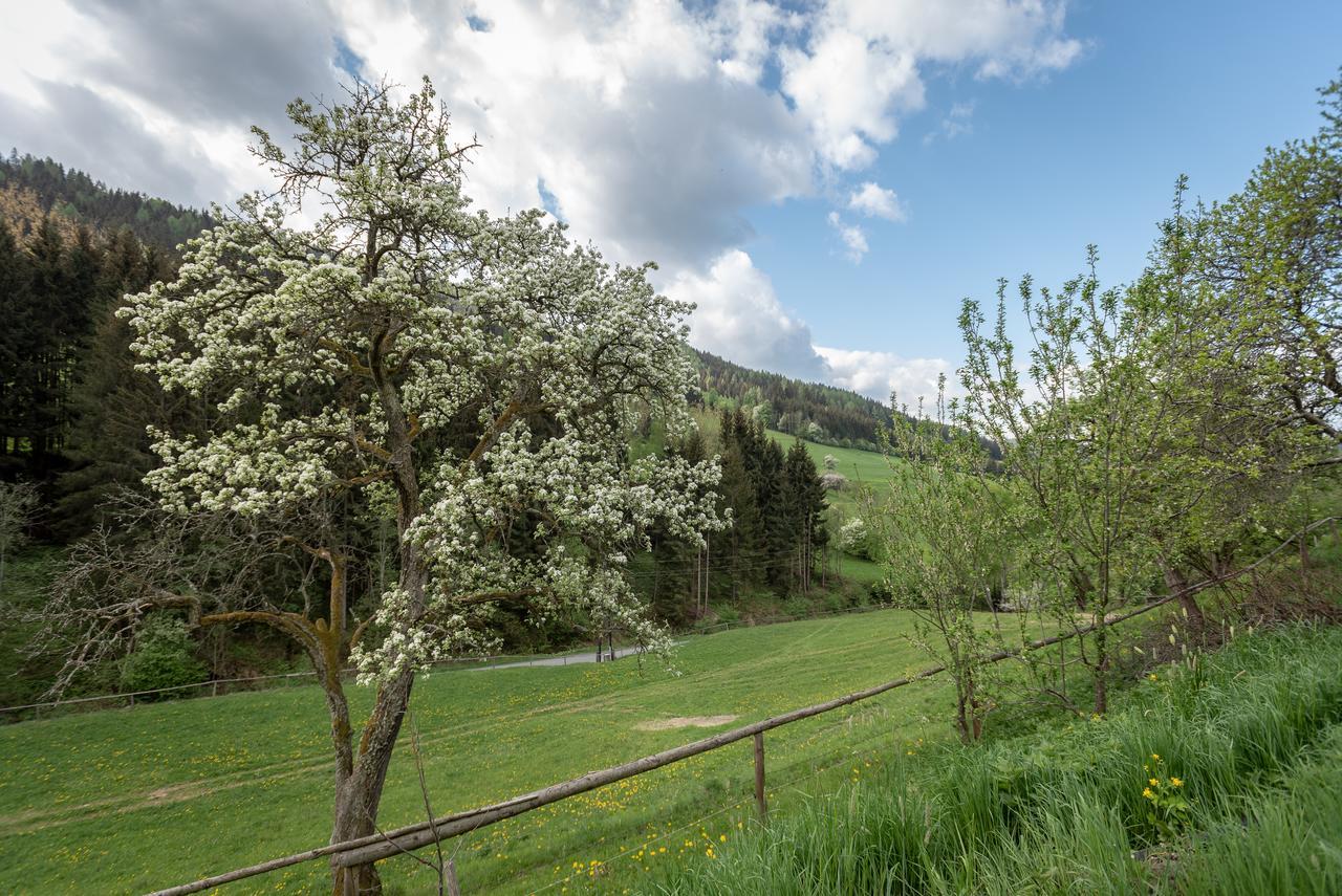 Urlaub Auf Der Alm "Deluxe" Villa Preggraben Kültér fotó