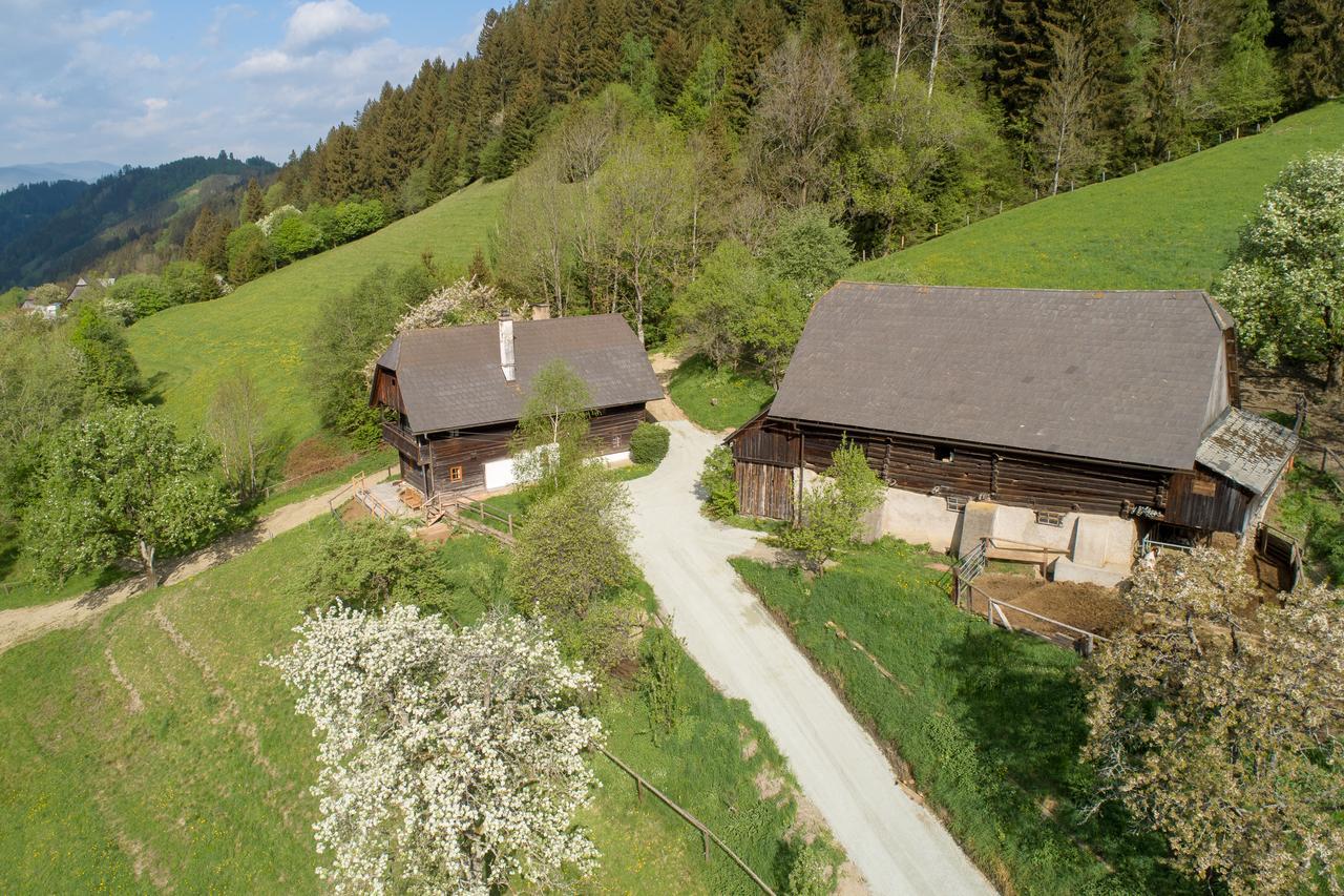 Urlaub Auf Der Alm "Deluxe" Villa Preggraben Kültér fotó